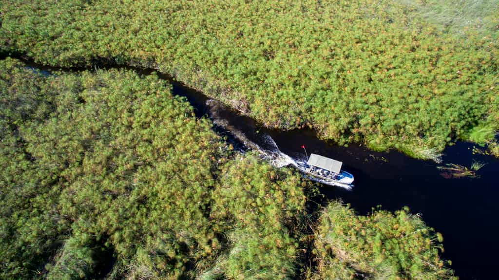 Boating Aerial