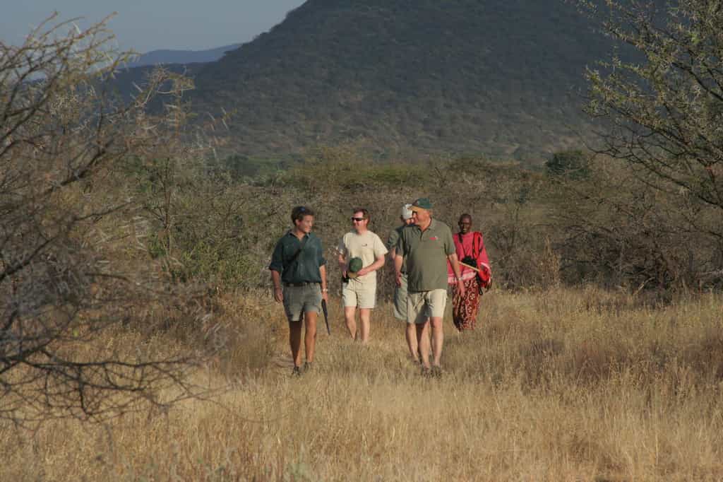 Guided walk