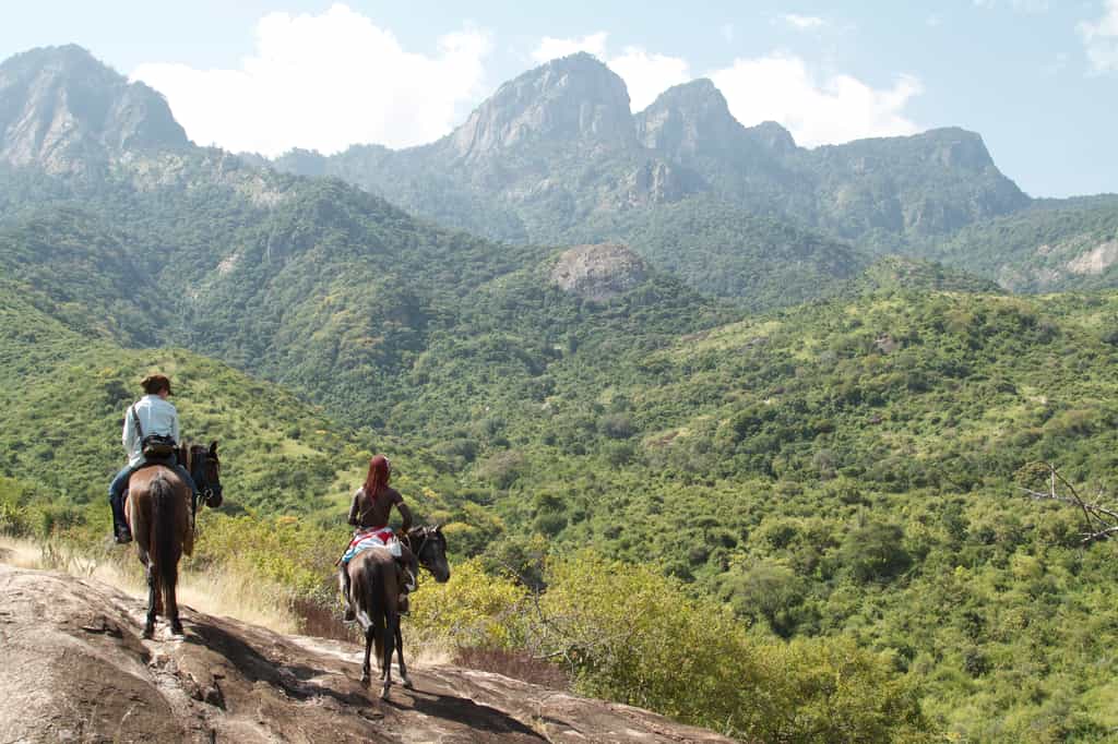 Horse riding