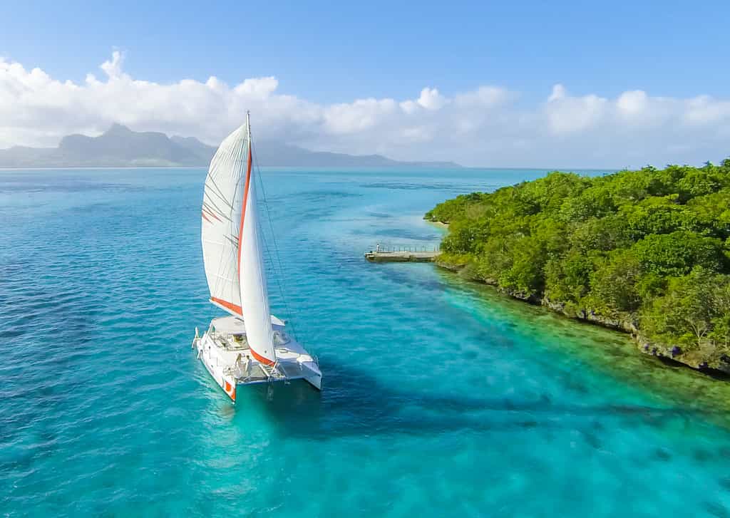 Catamaran cruise near l'Ile aux Aigrettes or to Ile auc Cerfs