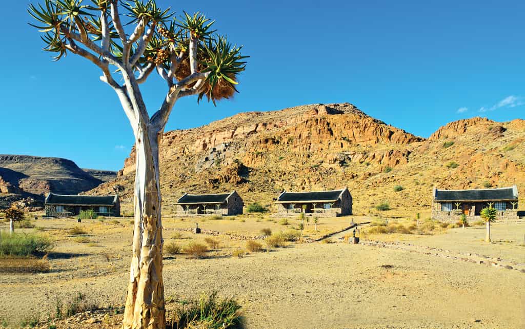 Canyon Village front view 