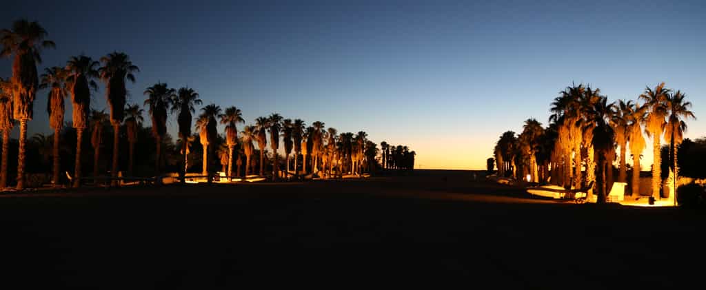 The magic of the Kalahari's largest palm-tree alley is testimony to gliding accomplishments of former guests, dating back as far as the 1960's.  