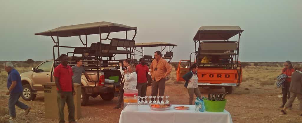 Game drive with sundowner enroute