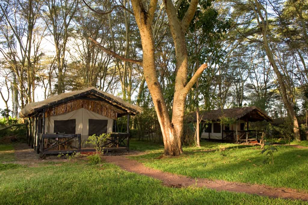 Tented Rooms