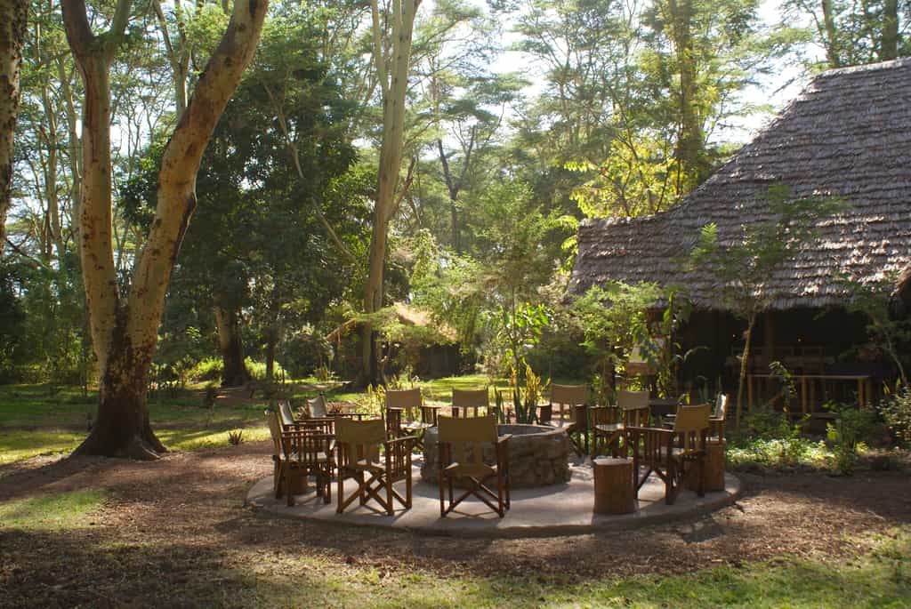 Grounds