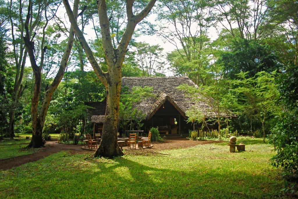 Main Building