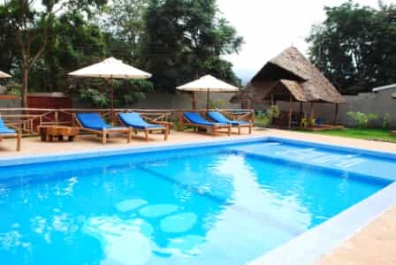 Our swimming pool and sun loungers