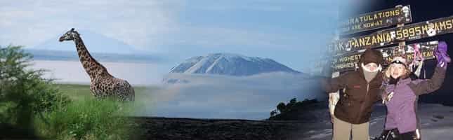 Kilimanjaro Climbs and Safaris!
