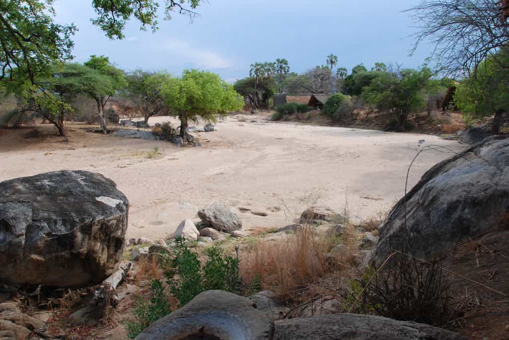 Mwagusi Safari Camp....the view from your accommodation