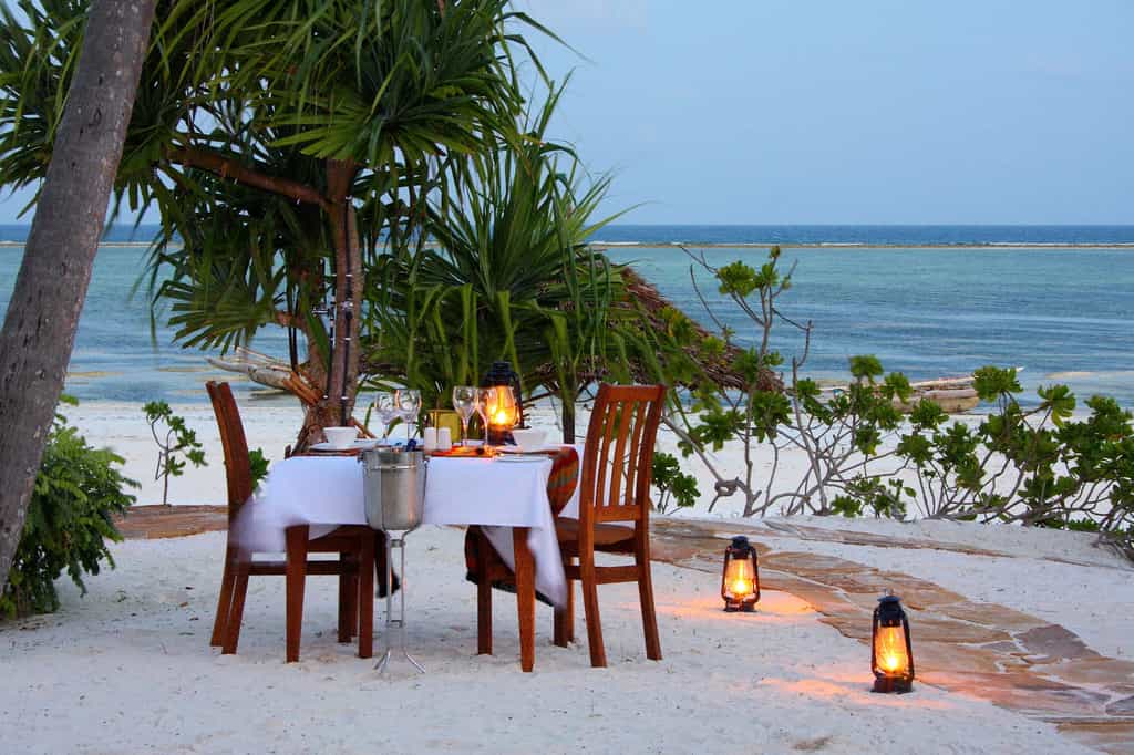 A honeymoon dinner