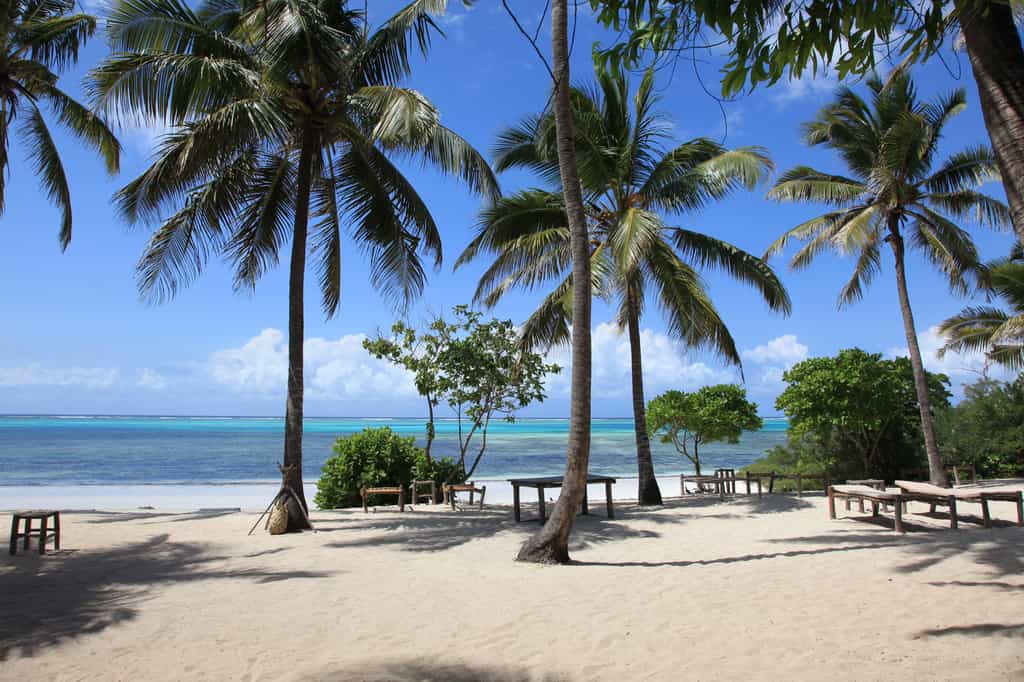 beach of kichanga Lodge