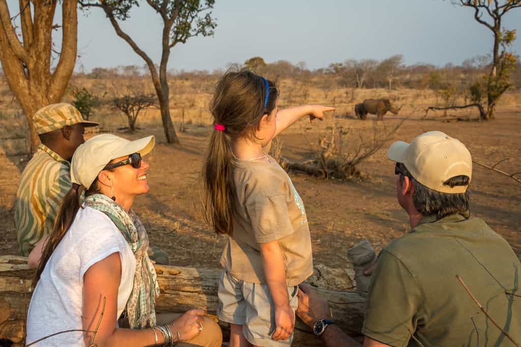 On safari