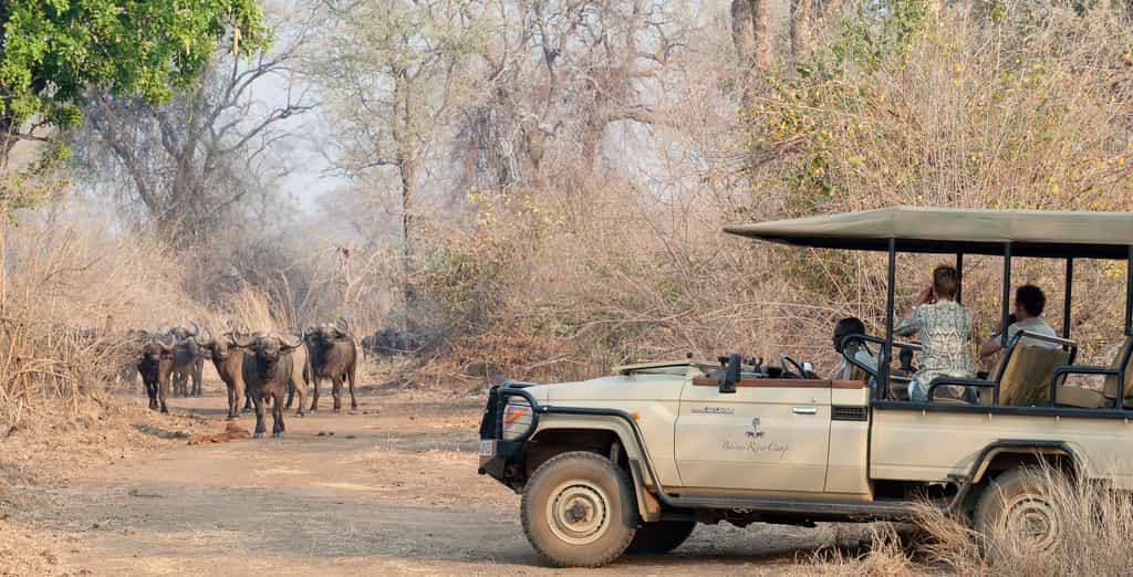 Enjoy game viewing by boat, canoe or vehicle.