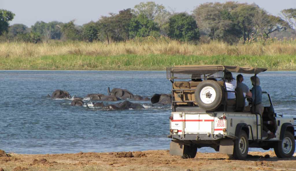 Game-Drive at Imbabala Zambezi Safari Lodge