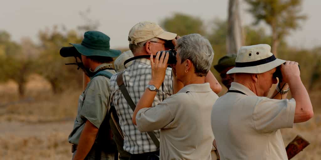 Great game viewing