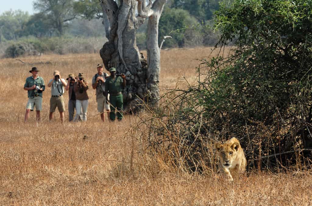 Great opportunities to get up close and personal with these amazing animals