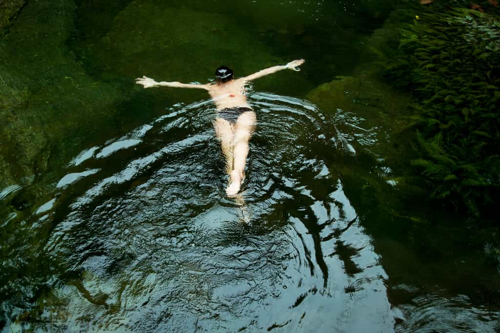 It's not all about the chimps.  The forest is full of life, and little secret places.