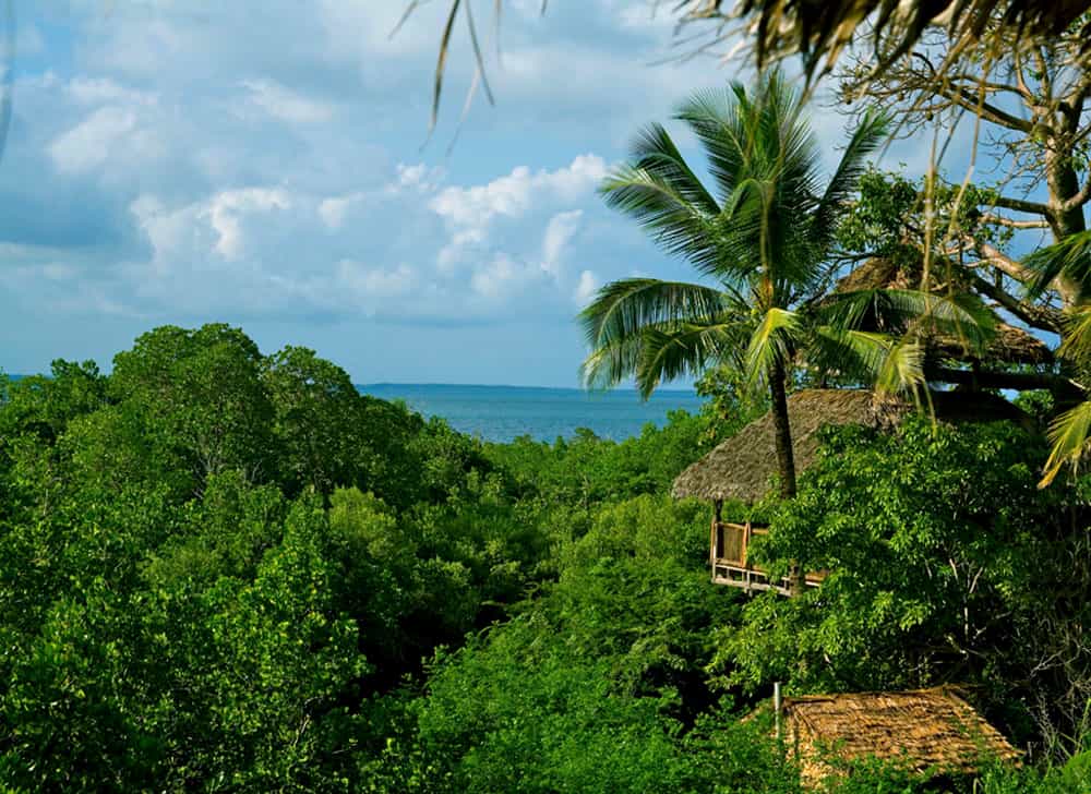 Stunning views of the ocean from the open planned tree houses