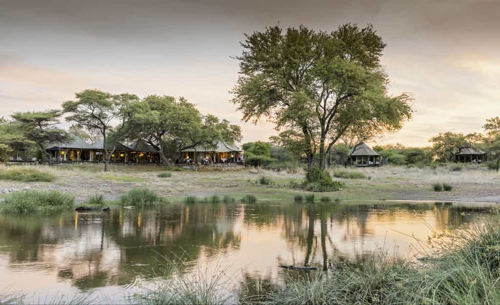 Overlooking the waterhole