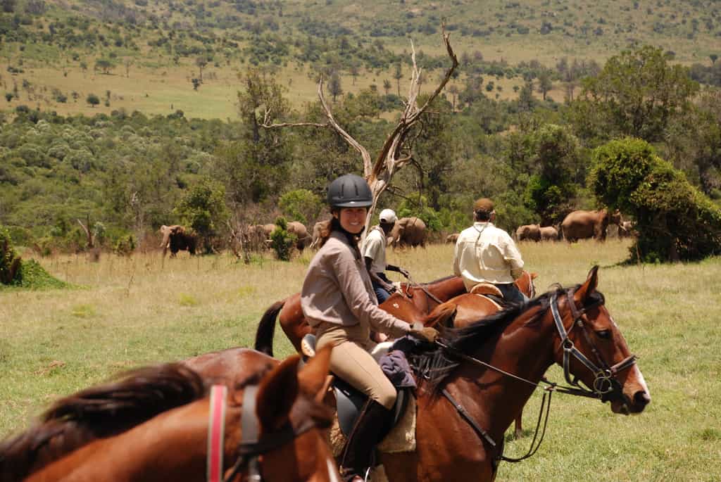 Wildlife can be seen from a horse, foot, mountain bike or by 4X4.