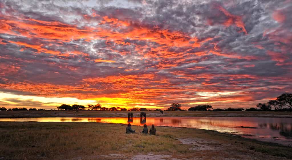 the Water Hole at Somalisa Camp