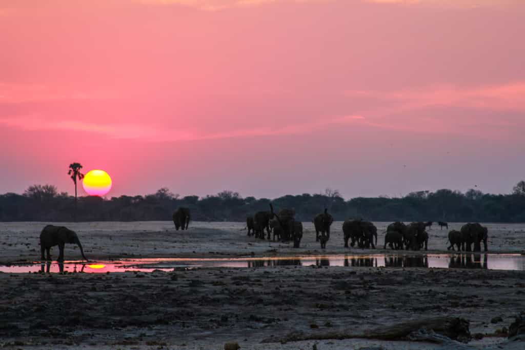Sunset in Hwange National Park