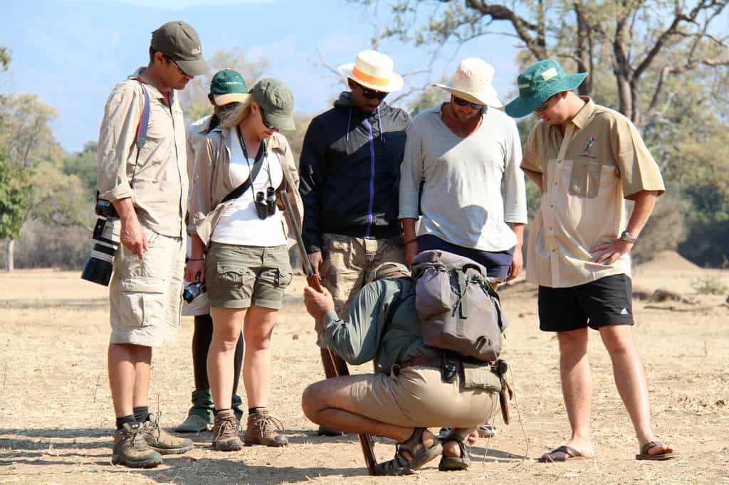 On the Camp Zambezi you can do some walking with your professional guide.