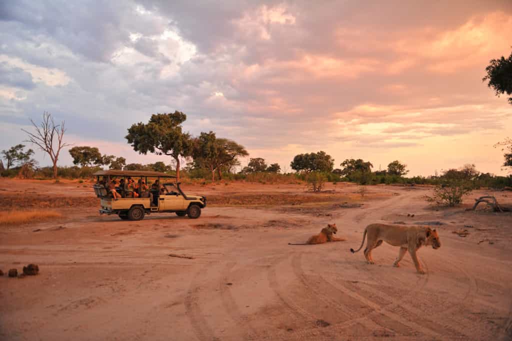 Game Drive