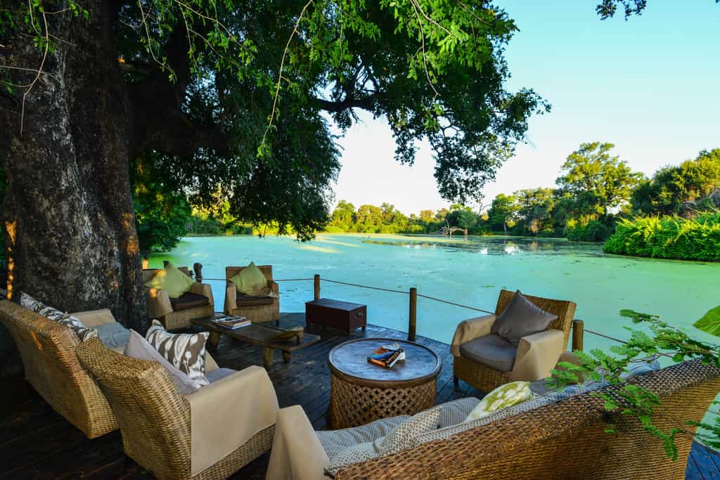 Armchair Safari