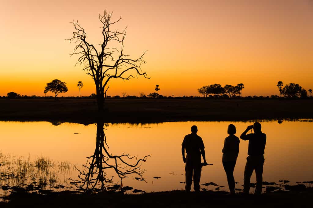 Gorgeous sunset reflections