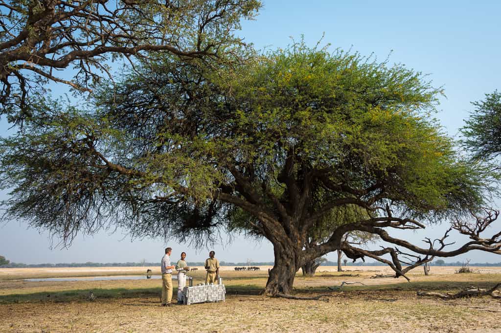 Bush break at Ngamo
