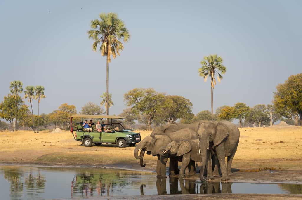 Davison's game drive