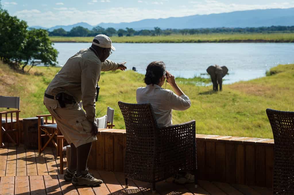 Great game viewing from as close as Ruckomechi’s star-gazing deck