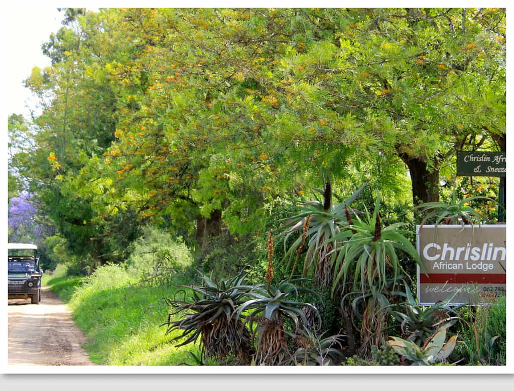 Chrislin African Lodge entrance