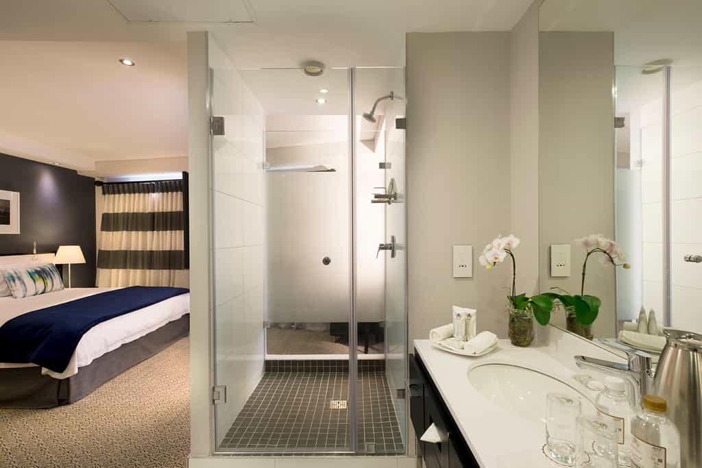 King Suite Shower 