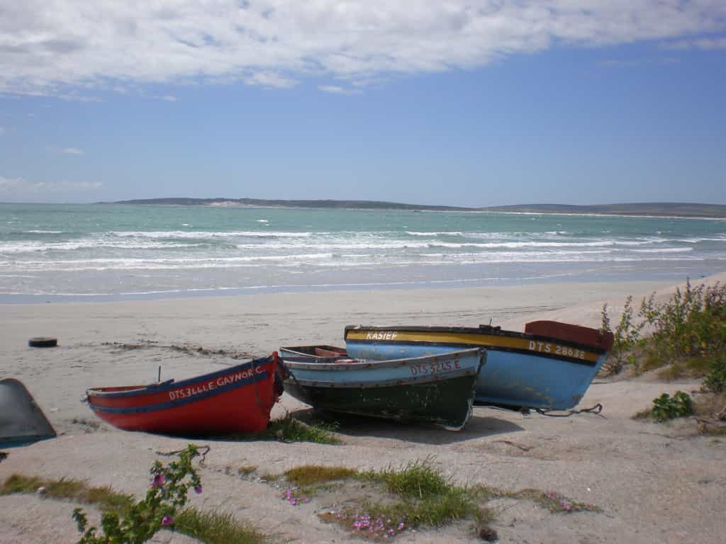 Fishing boats