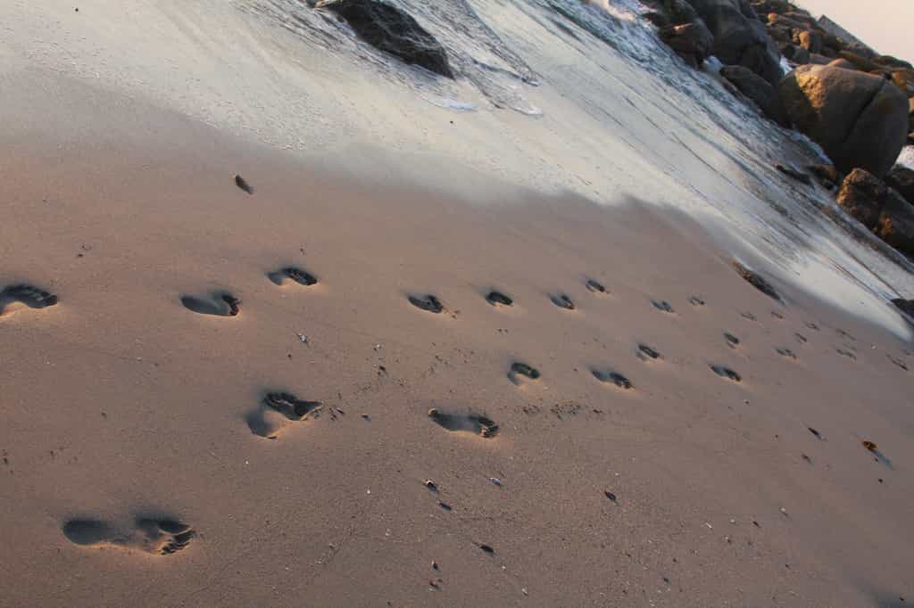 Footprints in the sand