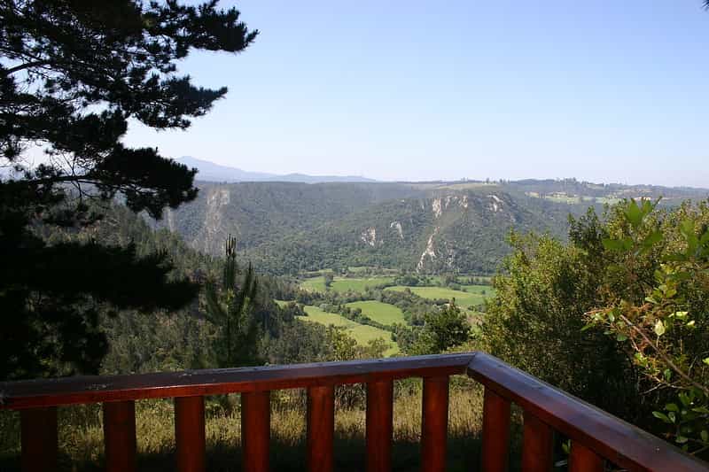 King's Gift - View