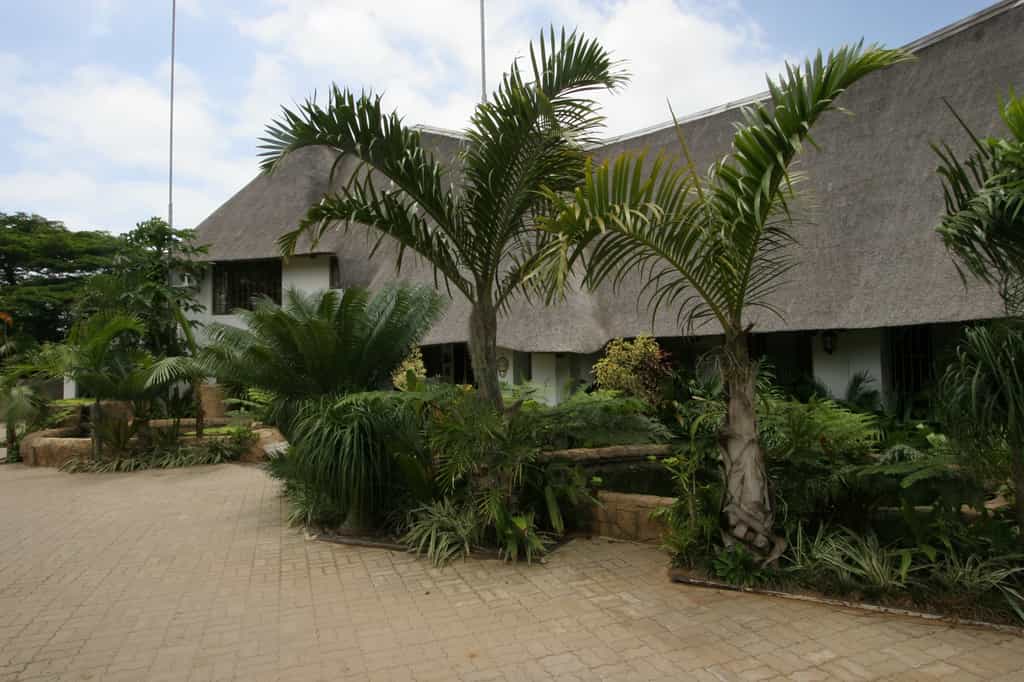 The swimming pool