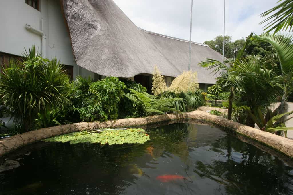 African Ambience