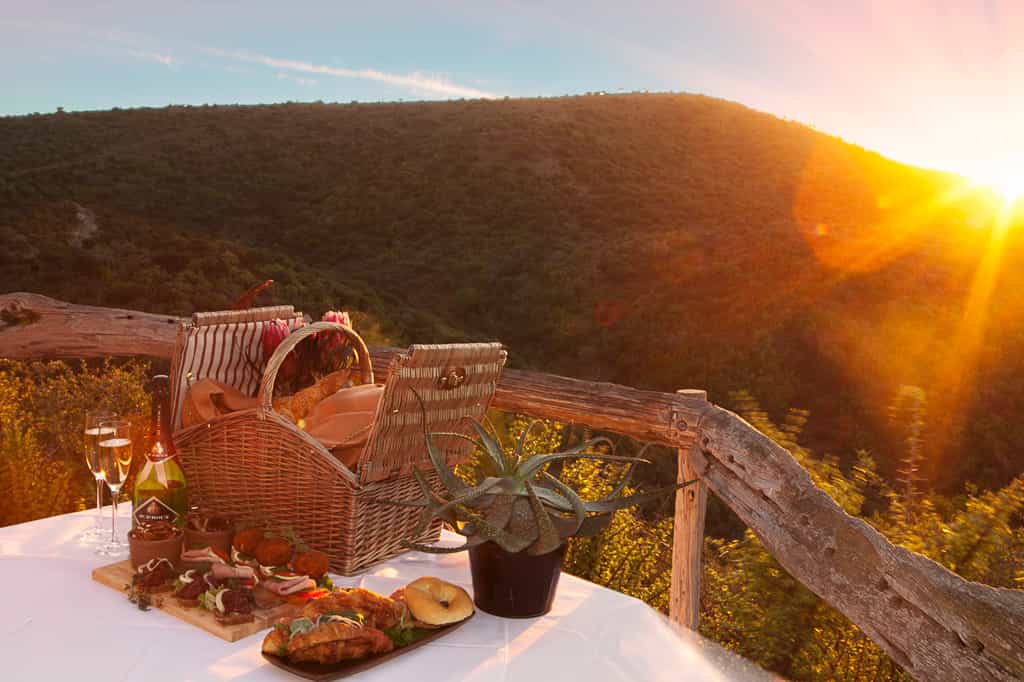 Sunset Picnic