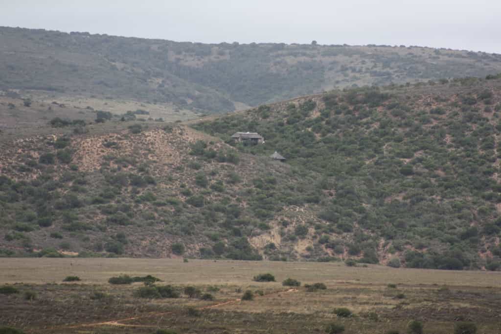 Bou Bou Lodge is situated in the heart of Amakhala Game Reserve. Totally isolated and the perfect hidaway