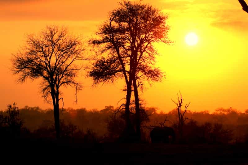 Landscape