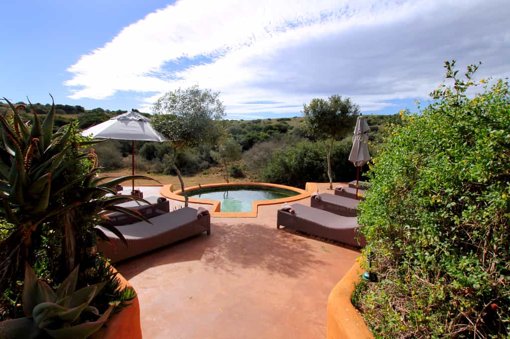Guest Public Swimming Pool