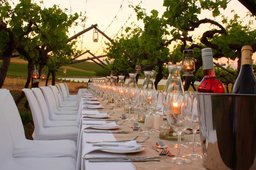 A vineyard dinner.