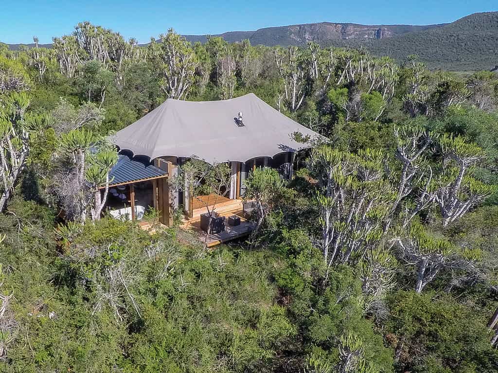 9 spacious tented suites (each 110m²) – each with an opulent bedroom and living area, full bathroom, indoor/outdoor shower, mini-bar and private viewing deck. 