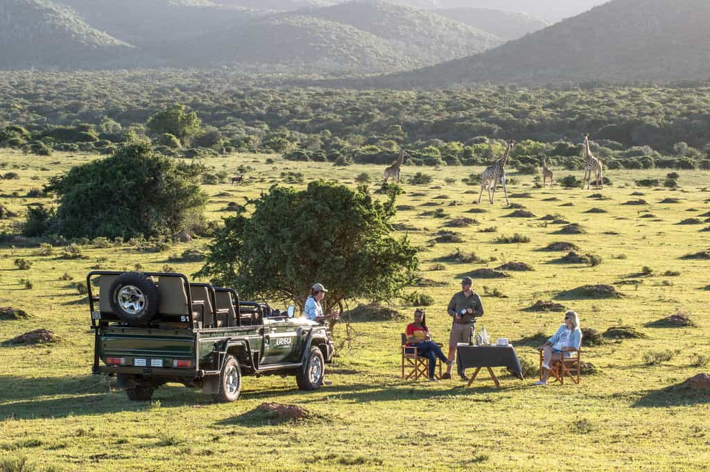 Guests enjoying sundowners on a game drive