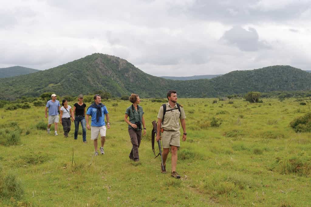 Guided bush walk