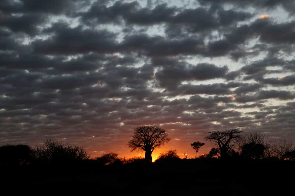 Pafuri Landscape