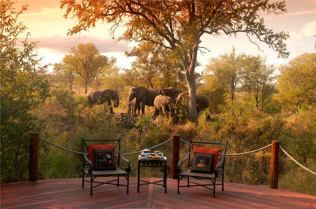 Spectacular wildlife sightings from the Hoyo Hoyo Deck